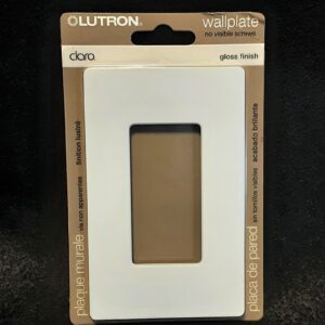 1G WHITE GANG WALL PLATE